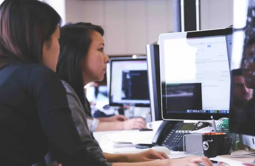 woman looking at data on her computer